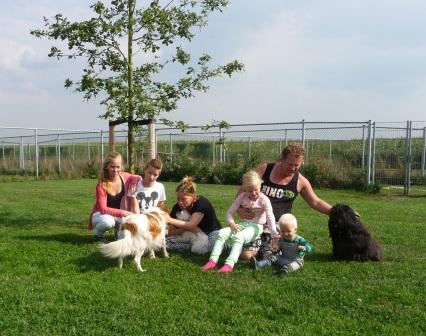 Dierenopvang Het Veenschap Vriezenveen | Voor Uw Honden, Poezen En Katten